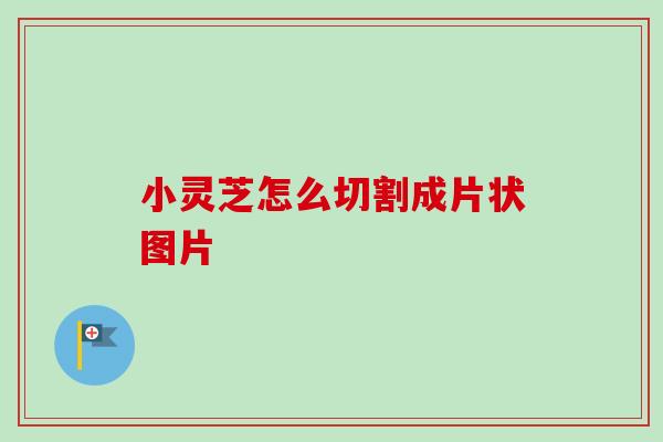 小灵芝怎么切割成片状图片-第1张图片-卓岳灵芝孢子粉
