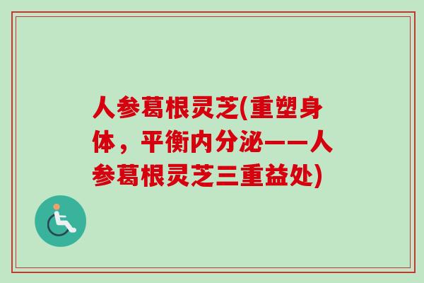 人参葛根灵芝(重塑身体，平衡内分泌——人参葛根灵芝三重益处)-第1张图片-卓越灵芝孢子粉