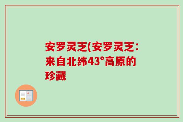 安罗灵芝(安罗灵芝：来自北纬43°高原的珍藏 -第1张图片-卓岳灵芝孢子粉
