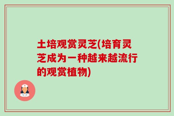 土培观赏灵芝(培育灵芝成为一种越来越流行的观赏植物)-第1张图片-卓越灵芝孢子粉