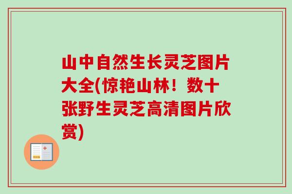 山中自然生长灵芝图片大全(惊艳山林！数十张野生灵芝高清图片欣赏)-第1张图片-卓越灵芝孢子粉
