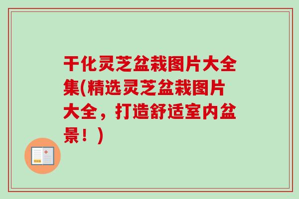 干化灵芝盆栽图片大全集(精选灵芝盆栽图片大全，打造舒适室内盆景！)-第1张图片-卓越灵芝孢子粉