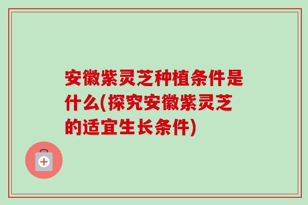 安徽紫灵芝种植条件是什么(探究安徽紫灵芝的适宜生长条件)-第1张图片-卓越灵芝孢子粉 安徽紫灵芝种植条件是什么(探究安徽紫灵芝的适宜生长条件)-第1张图片-卓越灵芝孢子粉