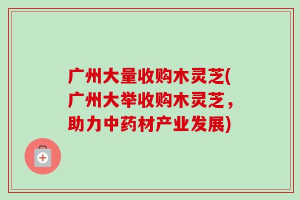 广州大量收购木灵芝(广州大举收购木灵芝，助力中药材产业发展)-第1张图片-卓越灵芝孢子粉
