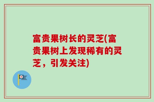 富贵果树长的灵芝(富贵果树上发现稀有的灵芝，引发关注)-第1张图片-卓越灵芝孢子粉