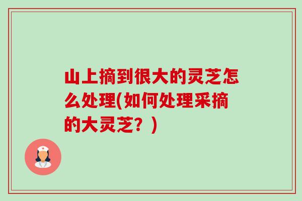 山上摘到很大的灵芝怎么处理(如何处理采摘的大灵芝?)-第1张图片-卓越灵芝孢子粉 山上摘到很大的灵芝怎么处理(如何处理采摘的大灵芝?)-第1张图片-卓越灵芝孢子粉
