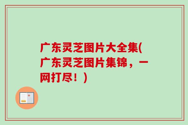 广东灵芝图片大全集(广东灵芝图片集锦,一网打尽!)-第1张图片-卓越灵芝孢子粉 广东灵芝图片大全集(广东灵芝图片集锦,一网打尽!)-第1张图片-卓越灵芝孢子粉