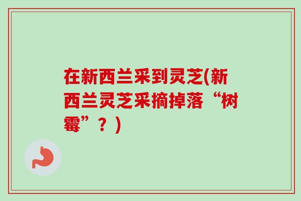 在新西兰采到灵芝(新西兰灵芝采摘掉落“树霉”?)-第1张图片-卓越灵芝孢子粉 在新西兰采到灵芝(新西兰灵芝采摘掉落“树霉”?)-第1张图片-卓越灵芝孢子粉
