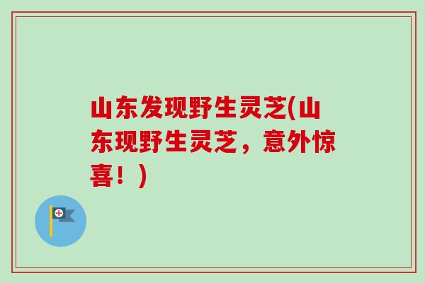 山东发现野生灵芝(山东现野生灵芝，意外惊喜！)-第1张图片-卓越灵芝孢子粉