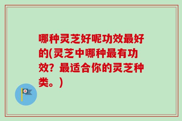 哪种灵芝好呢功效最好的(灵芝中哪种最有功效?最适合你的灵芝种类。)-第1张图片-卓越灵芝孢子粉 哪种灵芝好呢功效最好的(灵芝中哪种最有功效?最适合你的灵芝种类。)-第1张图片-卓越灵芝孢子粉
