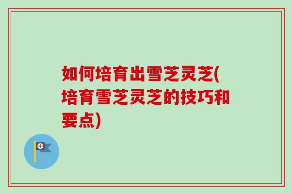 如何培育出雪芝灵芝(培育雪芝灵芝的技巧和要点)-第1张图片-卓越灵芝孢子粉 如何培育出雪芝灵芝(培育雪芝灵芝的技巧和要点)-第1张图片-卓越灵芝孢子粉