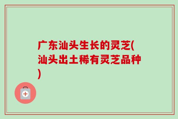广东汕头生长的灵芝(汕头出土稀有灵芝品种)-第1张图片-卓越灵芝孢子粉 广东汕头生长的灵芝(汕头出土稀有灵芝品种)-第1张图片-卓越灵芝孢子粉