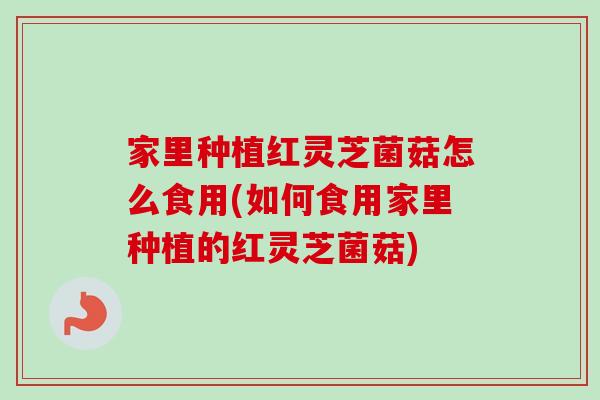 家里种植红灵芝菌菇怎么食用(如何食用家里种植的红灵芝菌菇)-第1张图片-卓越灵芝孢子粉 家里种植红灵芝菌菇怎么食用(如何食用家里种植的红灵芝菌菇)-第1张图片-卓越灵芝孢子粉