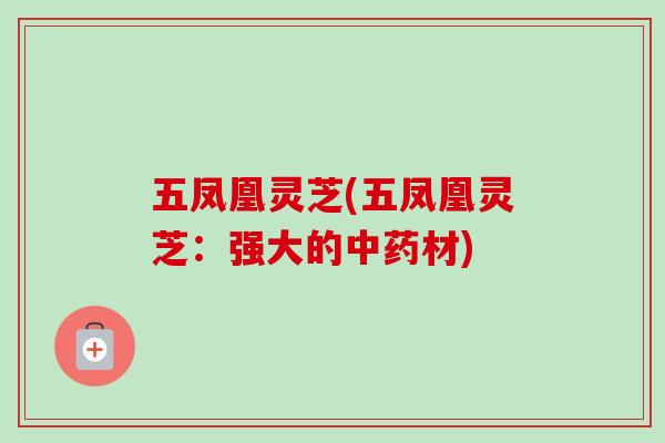 五凤凰灵芝(五凤凰灵芝:强大的中药材)-第1张图片-卓越灵芝孢子粉 五凤凰灵芝(五凤凰灵芝:强大的中药材)-第1张图片-卓越灵芝孢子粉