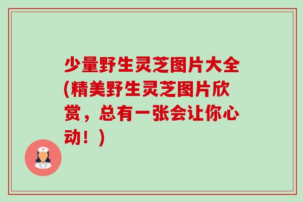 少量野生灵芝图片大全(精美野生灵芝图片欣赏,总有一张会让你心动!)-第1张图片-卓越灵芝孢子粉 少量野生灵芝图片大全(精美野生灵芝图片欣赏,总有一张会让你心动!)-第1张图片-卓越灵芝孢子粉