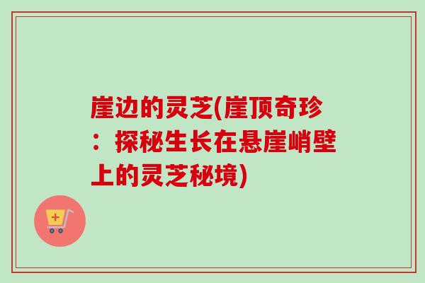 崖边的灵芝(崖顶奇珍:探秘生长在悬崖峭壁上的灵芝秘境)-第1张图片-卓越灵芝孢子粉 崖边的灵芝(崖顶奇珍:探秘生长在悬崖峭壁上的灵芝秘境)-第1张图片-卓越灵芝孢子粉