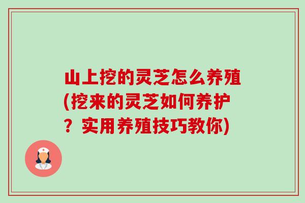 山上挖的灵芝怎么养殖(挖来的灵芝如何养护?实用养殖技巧教你)-第1张图片-卓越灵芝孢子粉 山上挖的灵芝怎么养殖(挖来的灵芝如何养护?实用养殖技巧教你)-第1张图片-卓越灵芝孢子粉