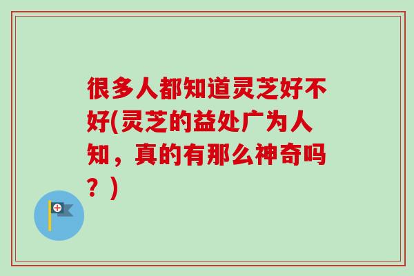 很多人都知道灵芝好不好(灵芝的益处广为人知,真的有那么神奇吗?)-第1张图片-卓越灵芝孢子粉 很多人都知道灵芝好不好(灵芝的益处广为人知,真的有那么神奇吗?)-第1张图片-卓越灵芝孢子粉