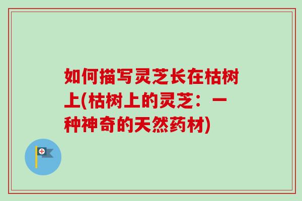 如何描写灵芝长在枯树上(枯树上的灵芝:一种神奇的天然药材)-第1张图片-卓越灵芝孢子粉 如何描写灵芝长在枯树上(枯树上的灵芝:一种神奇的天然药材)-第1张图片-卓越灵芝孢子粉