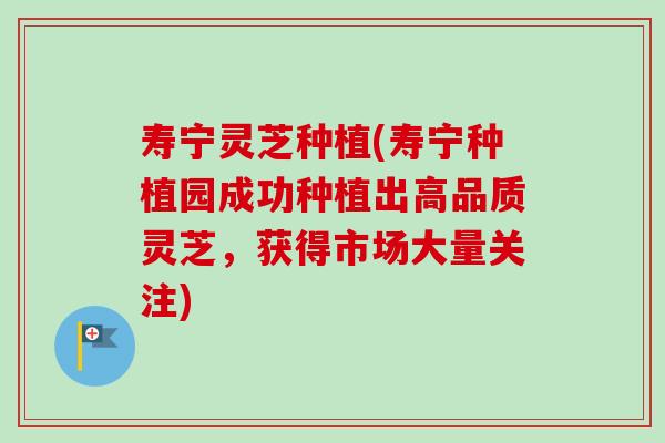 寿宁灵芝种植(寿宁种植园成功种植出高品质灵芝,获得市场大量关注)-第1张图片-卓越灵芝孢子粉 寿宁灵芝种植(寿宁种植园成功种植出高品质灵芝,获得市场大量关注)-第1张图片-卓越灵芝孢子粉