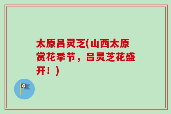太原吕灵芝(山西太原赏花季节,吕灵芝花盛开!)-第1张图片-卓越灵芝孢子粉 太原吕灵芝(山西太原赏花季节,吕灵芝花盛开!)-第1张图片-卓越灵芝孢子粉