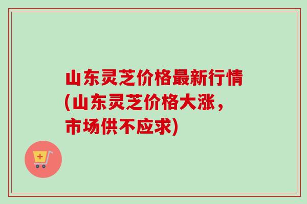 山东灵芝价格最新行情(山东灵芝价格大涨，市场供不应求)-第1张图片-卓越灵芝孢子粉