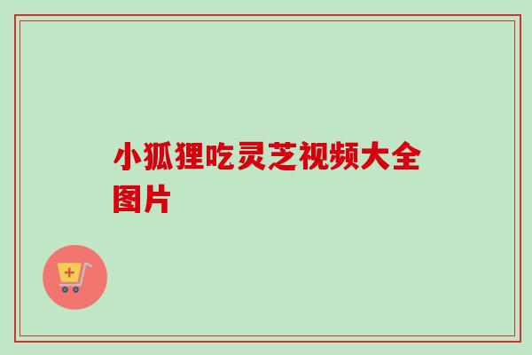 小狐狸吃灵芝视频大全图片-第1张图片-卓越灵芝孢子粉 小狐狸吃灵芝视频大全图片-第1张图片-卓越灵芝孢子粉