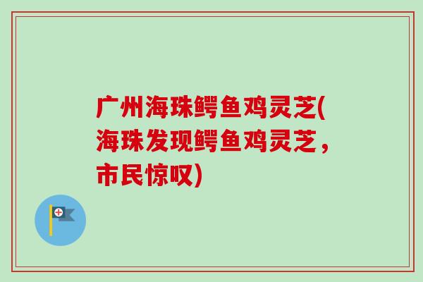 广州海珠鳄鱼鸡灵芝(海珠发现鳄鱼鸡灵芝，市民惊叹)-第1张图片-卓越灵芝孢子粉