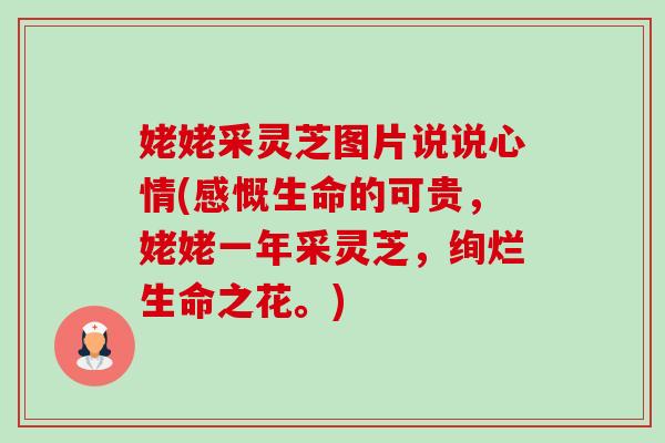 姥姥采灵芝图片说说心情(感慨生命的可贵,姥姥一年采灵芝,绚烂生命之花。)-第1张图片-卓越灵芝孢子粉 姥姥采灵芝图片说说心情(感慨生命的可贵,姥姥一年采灵芝,绚烂生命之花。)-第1张图片-卓越灵芝孢子粉