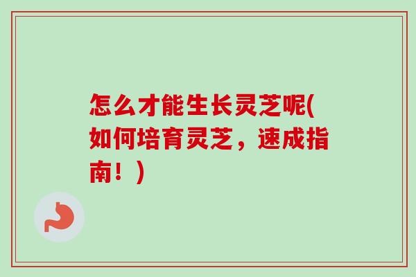 怎么才能生长灵芝呢(如何培育灵芝,速成指南!)-第1张图片-卓越灵芝孢子粉 怎么才能生长灵芝呢(如何培育灵芝,速成指南!)-第1张图片-卓越灵芝孢子粉