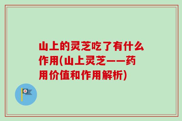 山上的灵芝吃了有什么作用(山上灵芝——药用价值和作用解析)-第1张图片-卓越灵芝孢子粉 山上的灵芝吃了有什么作用(山上灵芝——药用价值和作用解析)-第1张图片-卓越灵芝孢子粉