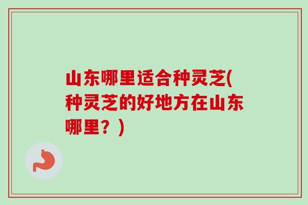 山东哪里适合种灵芝(种灵芝的好地方在山东哪里?)-第1张图片-卓越灵芝孢子粉 山东哪里适合种灵芝(种灵芝的好地方在山东哪里?)-第1张图片-卓越灵芝孢子粉