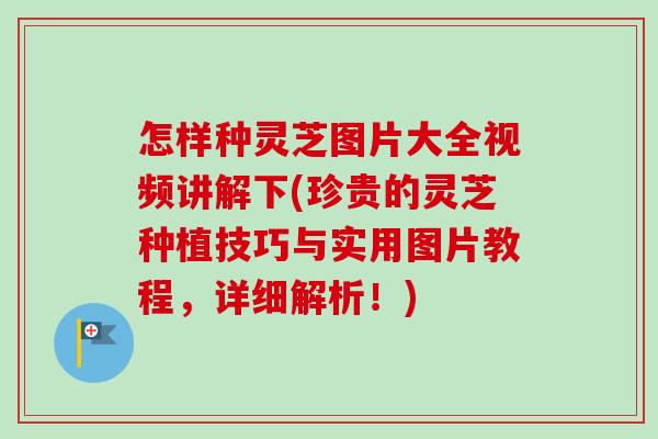 怎样种灵芝图片大全视频讲解下(珍贵的灵芝种植技巧与实用图片教程,详细解析!)-第1张图片-卓越灵芝孢子粉 怎样种灵芝图片大全视频讲解下(珍贵的灵芝种植技巧与实用图片教程,详细解析!)-第1张图片-卓越灵芝孢子粉