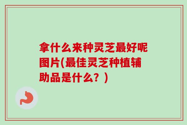 拿什么来种灵芝最好呢图片(最佳灵芝种植辅助品是什么?)-第1张图片-卓越灵芝孢子粉 拿什么来种灵芝最好呢图片(最佳灵芝种植辅助品是什么?)-第1张图片-卓越灵芝孢子粉