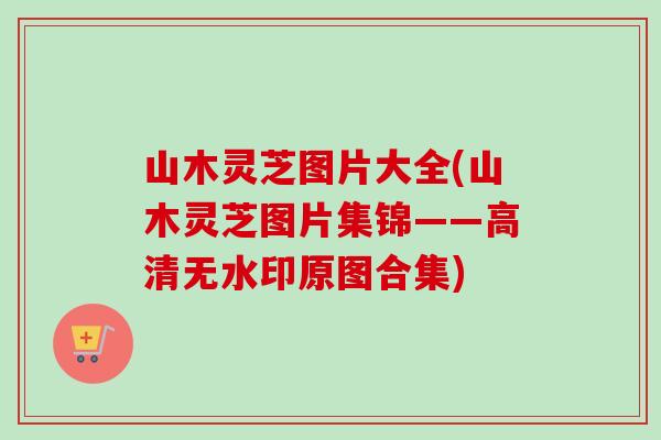 山木灵芝图片大全(山木灵芝图片集锦——高清无水印原图合集)-第1张图片-卓越灵芝孢子粉 山木灵芝图片大全(山木灵芝图片集锦——高清无水印原图合集)-第1张图片-卓越灵芝孢子粉