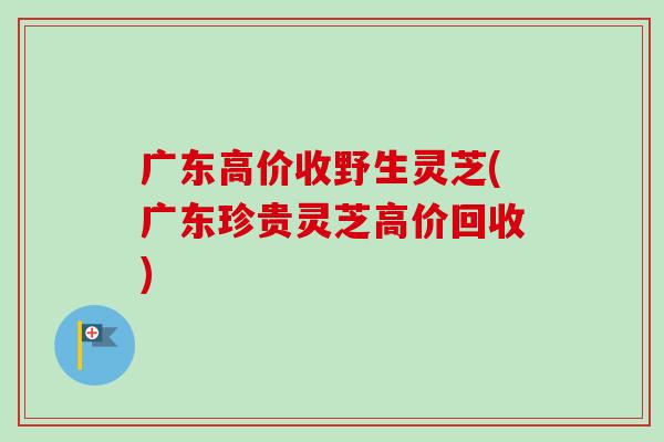 广东高价收野生灵芝(广东珍贵灵芝高价回收)-第1张图片-卓越灵芝孢子粉