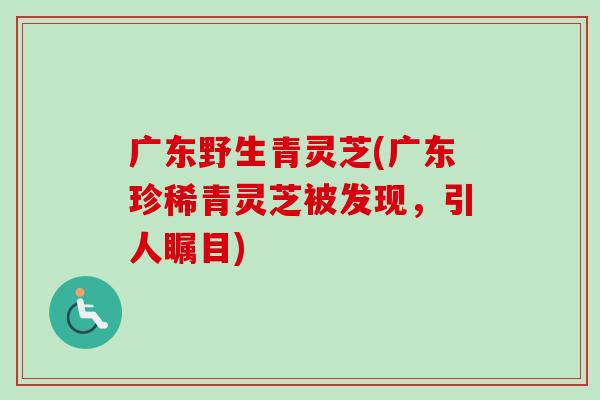 广东野生青灵芝(广东珍稀青灵芝被发现,引人瞩目)-第1张图片-卓越灵芝孢子粉 广东野生青灵芝(广东珍稀青灵芝被发现,引人瞩目)-第1张图片-卓越灵芝孢子粉