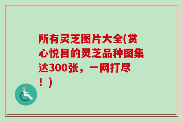 所有灵芝图片大全(赏心悦目的灵芝品种图集达300张,一网打尽!)-第1张图片-卓越灵芝孢子粉 所有灵芝图片大全(赏心悦目的灵芝品种图集达300张,一网打尽!)-第1张图片-卓越灵芝孢子粉