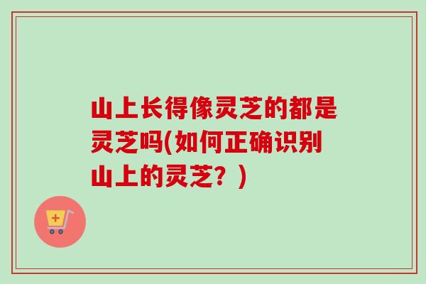 山上长得像灵芝的都是灵芝吗(如何正确识别山上的灵芝?)-第1张图片-卓越灵芝孢子粉 山上长得像灵芝的都是灵芝吗(如何正确识别山上的灵芝?)-第1张图片-卓越灵芝孢子粉