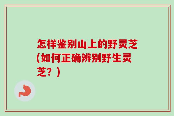 怎样鉴别山上的野灵芝(如何正确辨别野生灵芝?)-第1张图片-卓越灵芝孢子粉 怎样鉴别山上的野灵芝(如何正确辨别野生灵芝?)-第1张图片-卓越灵芝孢子粉