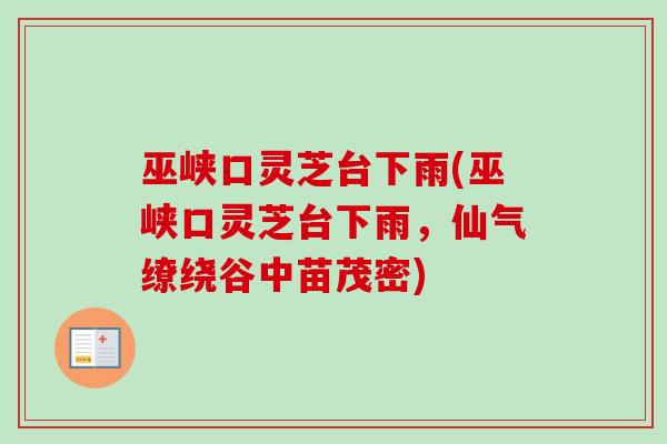 巫峡口灵芝台下雨(巫峡口灵芝台下雨，仙气缭绕谷中苗茂密)-第1张图片-卓越灵芝孢子粉