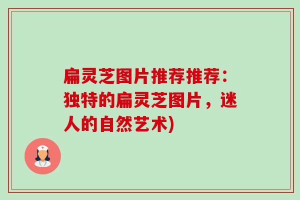 扁灵芝图片推荐推荐:独特的扁灵芝图片,迷人的自然艺术)-第1张图片-卓越灵芝孢子粉 扁灵芝图片推荐推荐:独特的扁灵芝图片,迷人的自然艺术)-第1张图片-卓越灵芝孢子粉