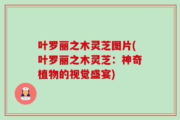 叶罗丽之木灵芝图片(叶罗丽之木灵芝:神奇植物的视觉盛宴)-第1张图片-卓越灵芝孢子粉 叶罗丽之木灵芝图片(叶罗丽之木灵芝:神奇植物的视觉盛宴)-第1张图片-卓越灵芝孢子粉