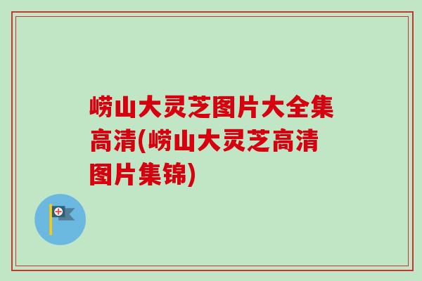 崂山大灵芝图片大全集高清(崂山大灵芝高清图片集锦)-第1张图片-卓越灵芝孢子粉 崂山大灵芝图片大全集高清(崂山大灵芝高清图片集锦)-第1张图片-卓越灵芝孢子粉