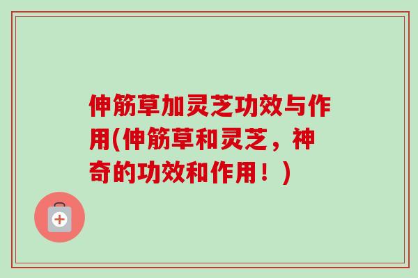伸筋草加灵芝功效与作用(伸筋草和灵芝,神奇的功效和作用!)-第1张图片-卓越灵芝孢子粉 伸筋草加灵芝功效与作用(伸筋草和灵芝,神奇的功效和作用!)-第1张图片-卓越灵芝孢子粉