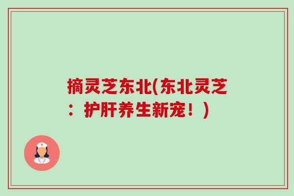 摘灵芝东北(东北灵芝:护肝养生新宠!)-第1张图片-卓越灵芝孢子粉 摘灵芝东北(东北灵芝:护肝养生新宠!)-第1张图片-卓越灵芝孢子粉