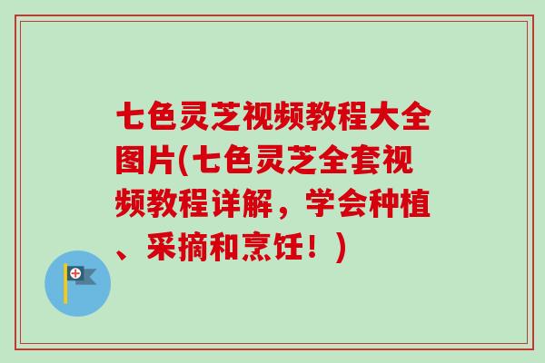 七色灵芝视频教程大全图片(七色灵芝全套视频教程详解,学会种植、采摘和烹饪!)-第1张图片-卓越灵芝孢子粉 七色灵芝视频教程大全图片(七色灵芝全套视频教程详解,学会种植、采摘和烹饪!)-第1张图片-卓越灵芝孢子粉