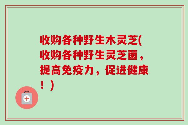 收购各种野生木灵芝(收购各种野生灵芝菌，提高免疫力，促进健康！)-第1张图片-卓越灵芝孢子粉