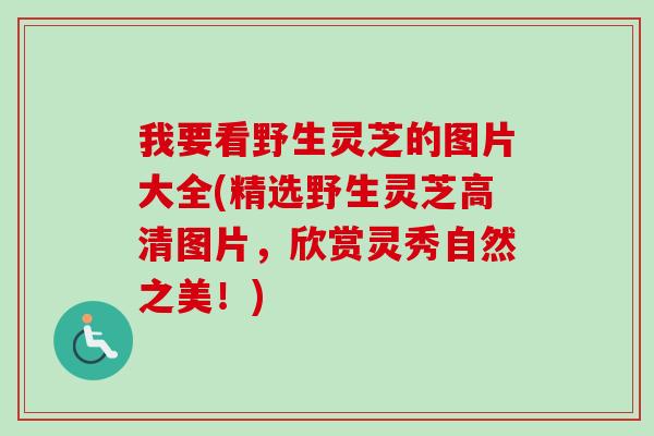 我要看野生灵芝的图片大全(精选野生灵芝高清图片,欣赏灵秀自然之美!)-第1张图片-卓越灵芝孢子粉 我要看野生灵芝的图片大全(精选野生灵芝高清图片,欣赏灵秀自然之美!)-第1张图片-卓越灵芝孢子粉