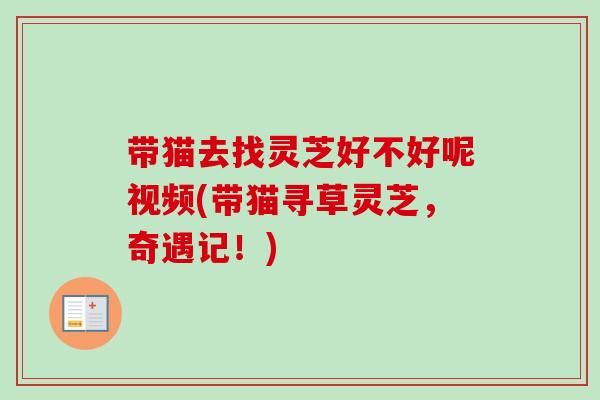 带猫去找灵芝好不好呢视频(带猫寻草灵芝，奇遇记！)-第1张图片-卓越灵芝孢子粉